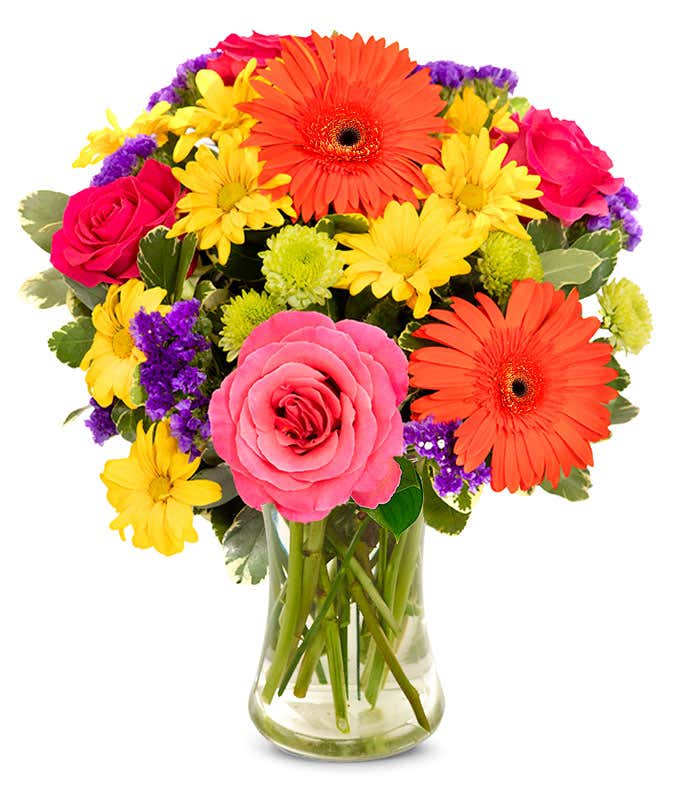 Birthday Gerbera Bouquet - Floramor 