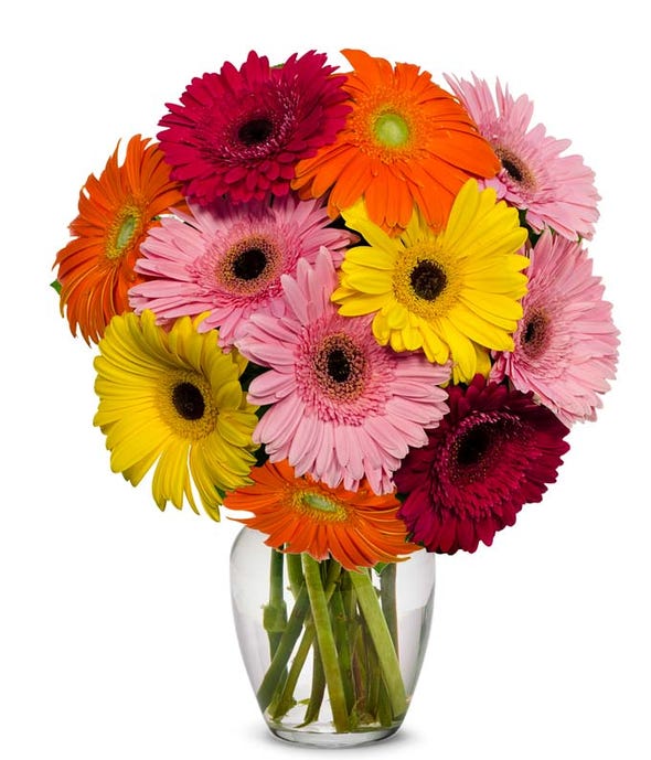 Stunning Gerbera Bouquet