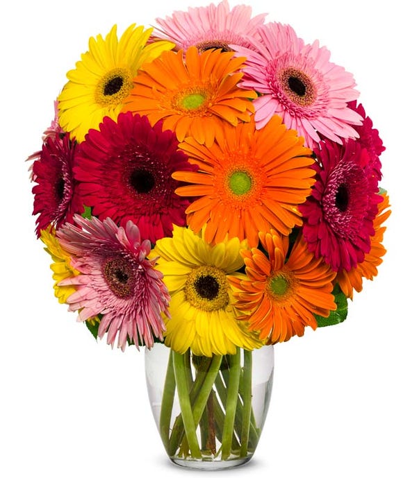 Stunning Gerbera Bouquet