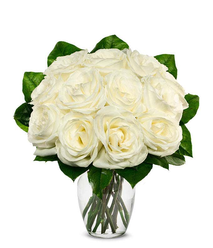 White Roses