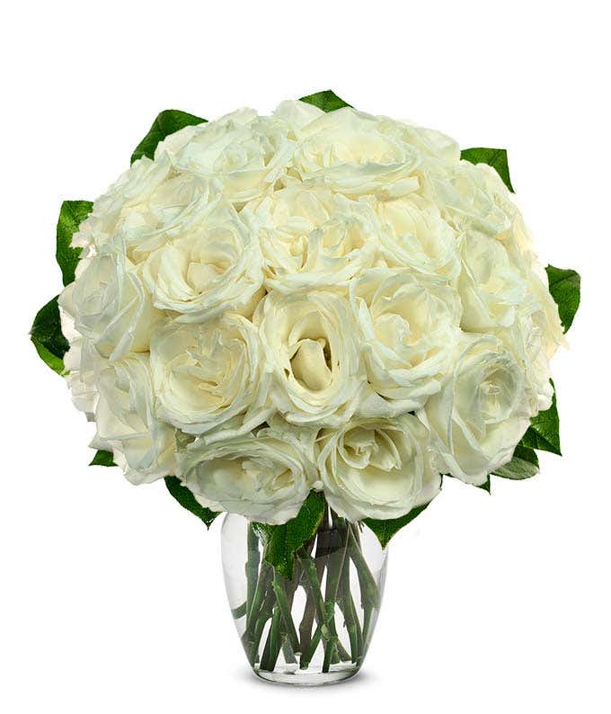 White Roses